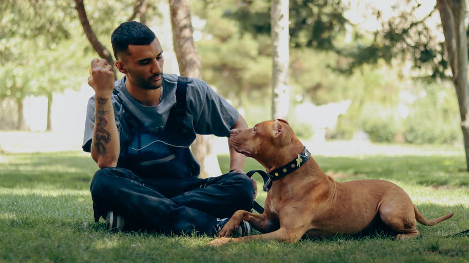 A conversation about animals and pets.