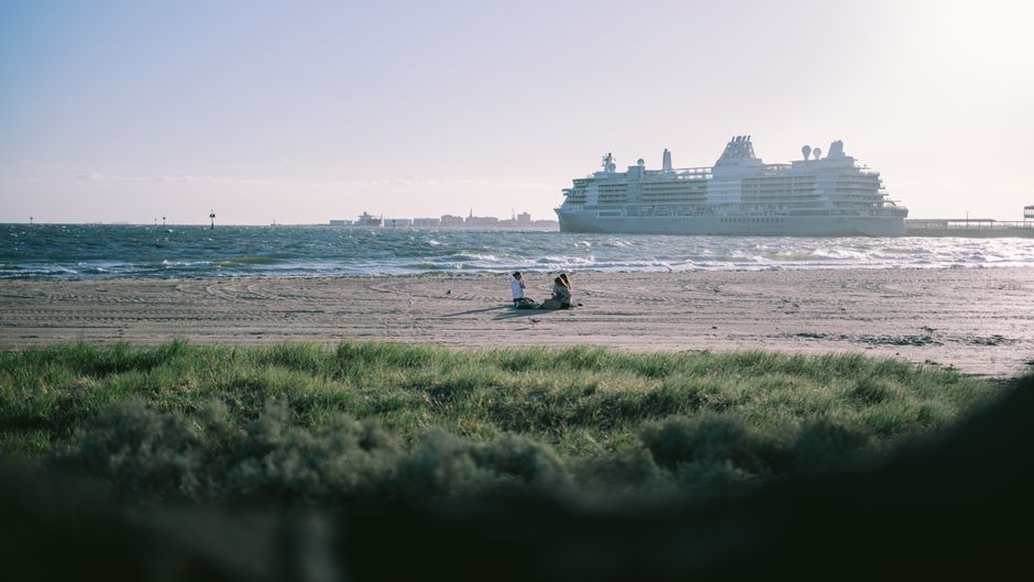 A conversation about cruise holidays.