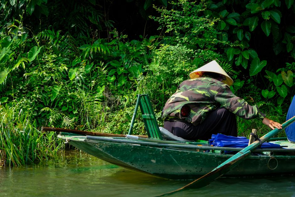 eco-tourism scene
