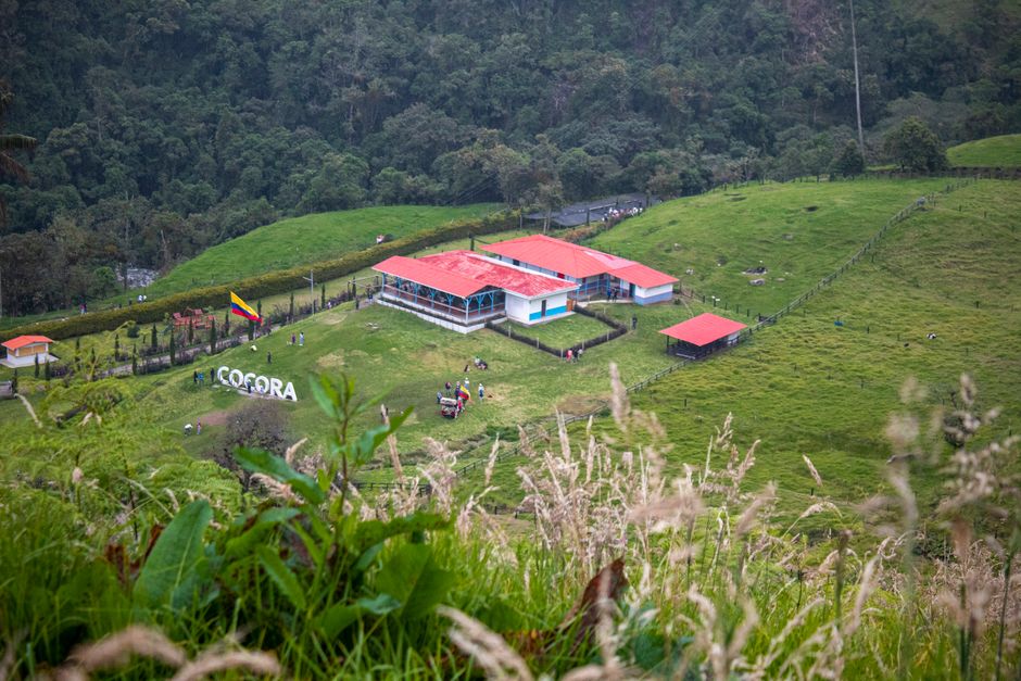 eco-tourism context