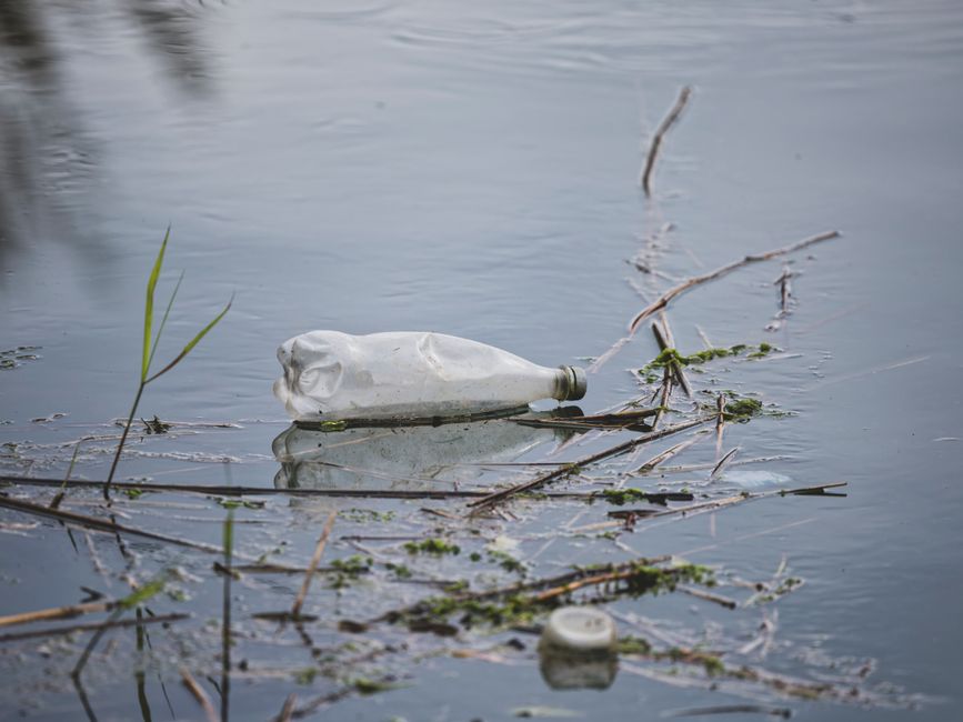 environmental issues scene