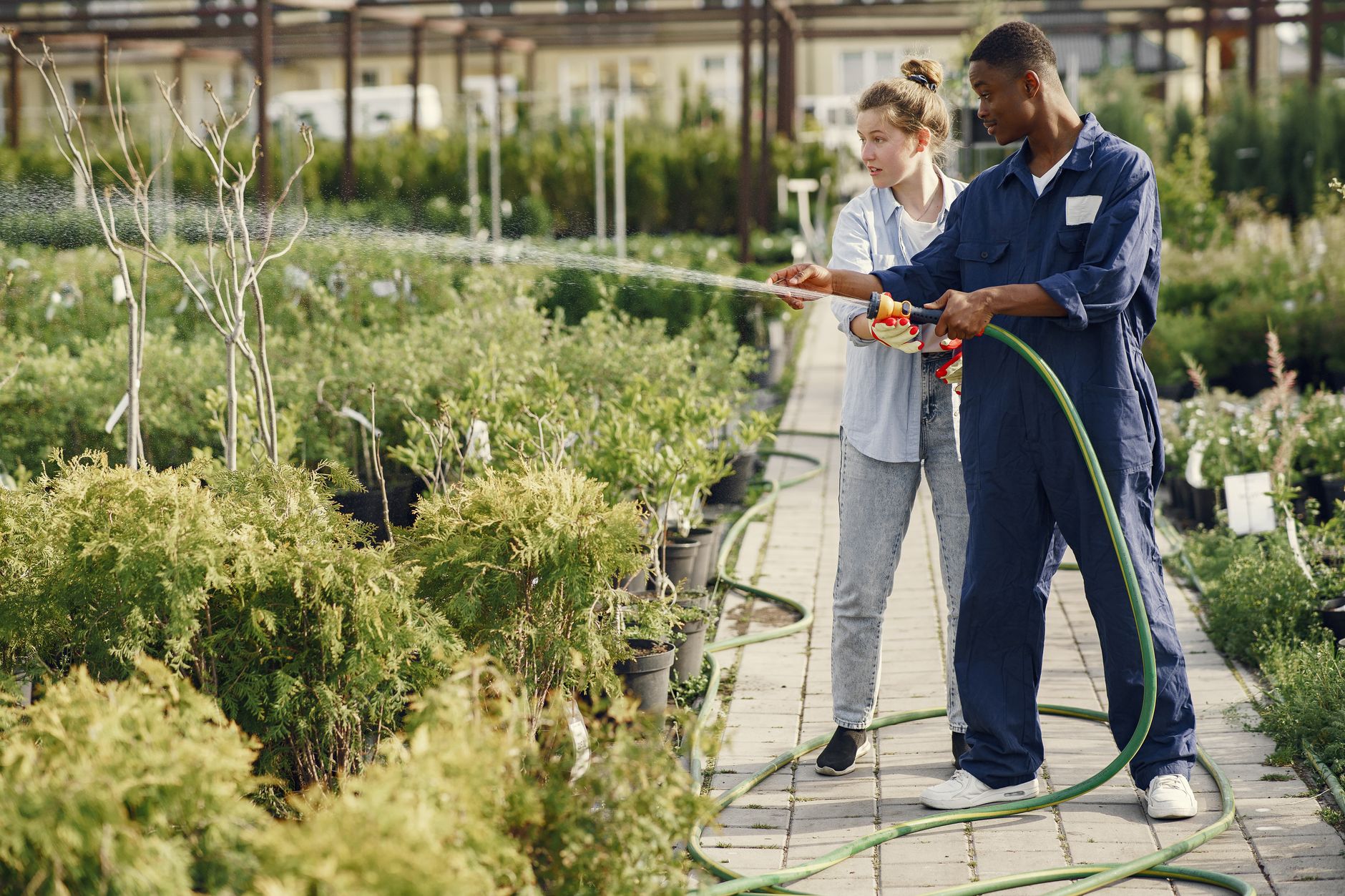 Gardening