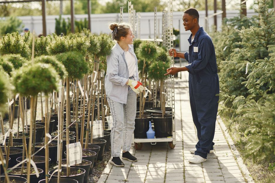 A conversation about gardening.