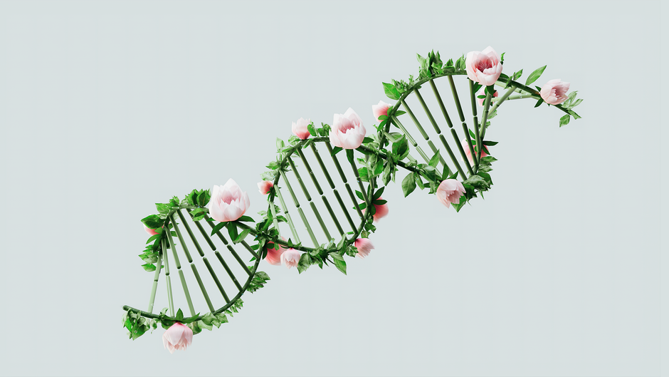 A conversation about genetic engineering.