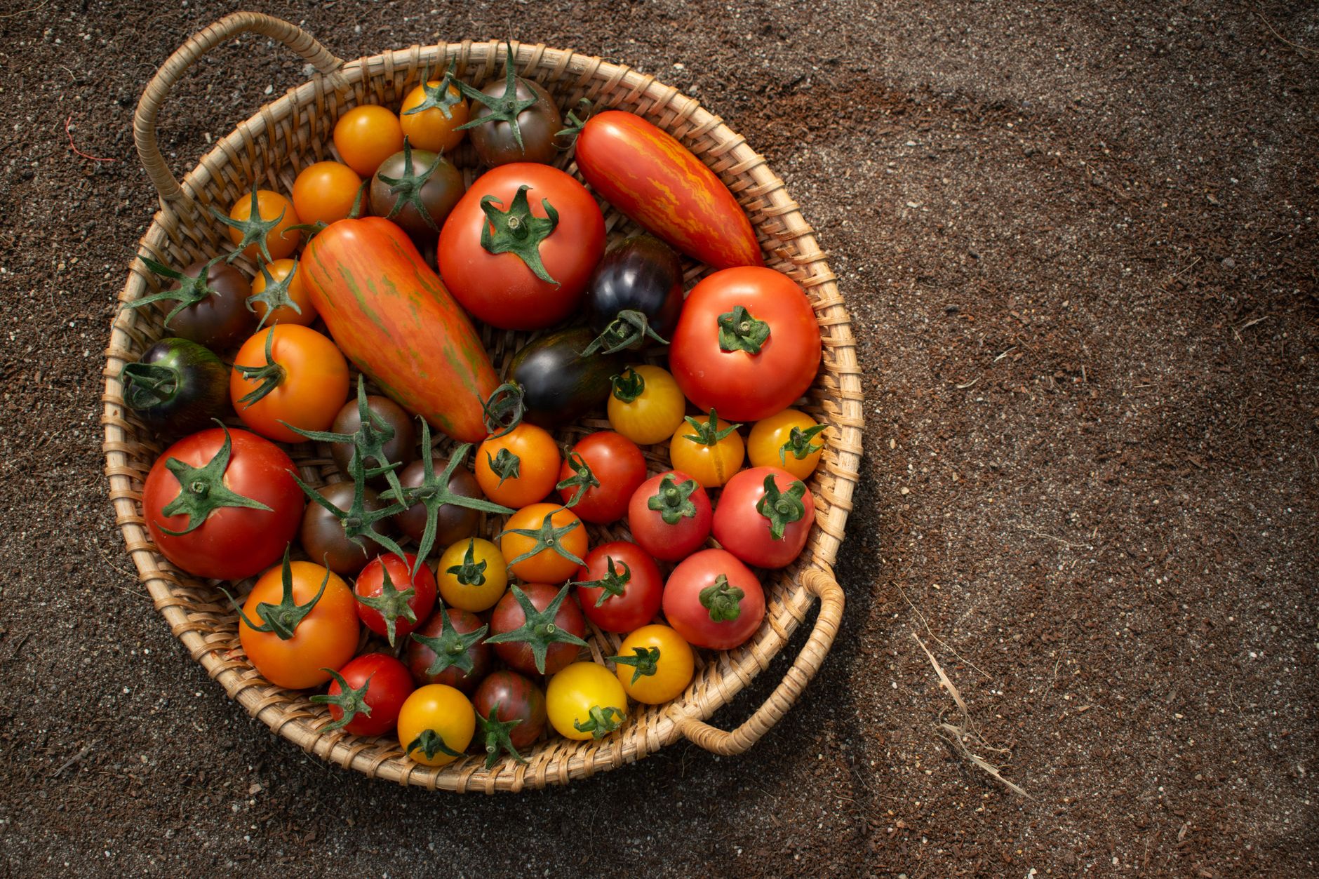 Global English Varieties
