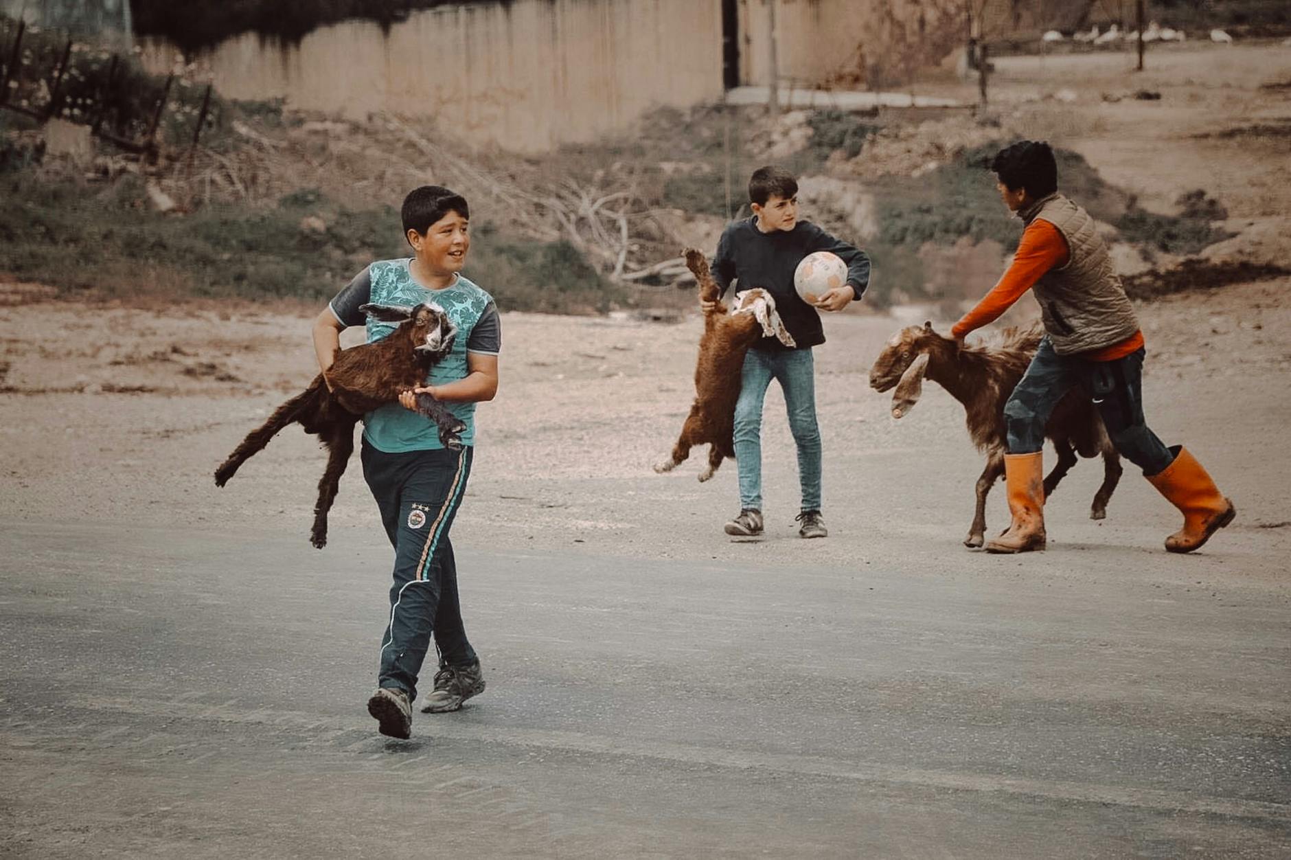 Les animaux et leurs sons