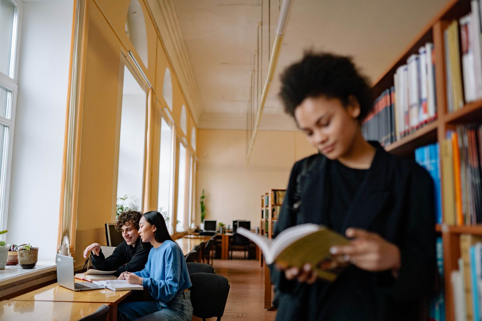 Parlez de vos études ou de votre travail