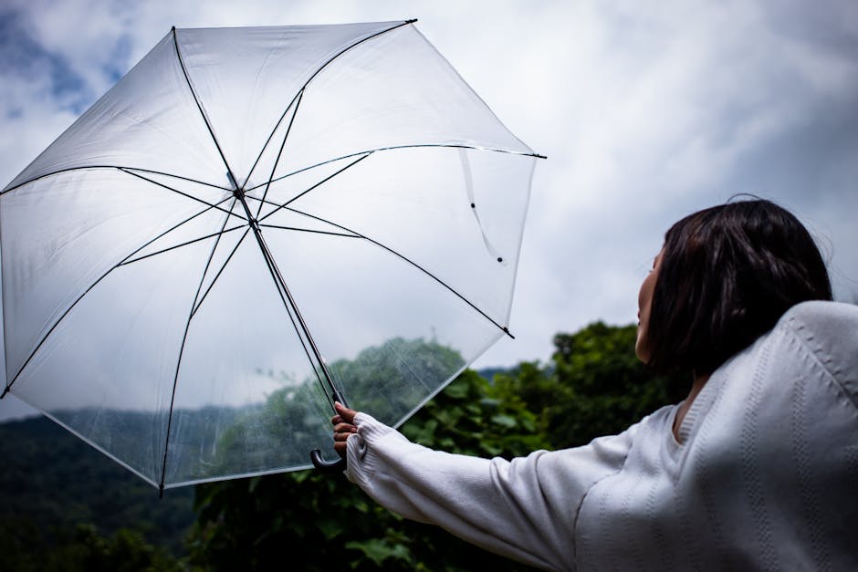 person holding an umbrella in the rain