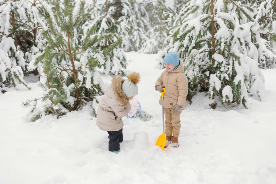 children playing in the snow