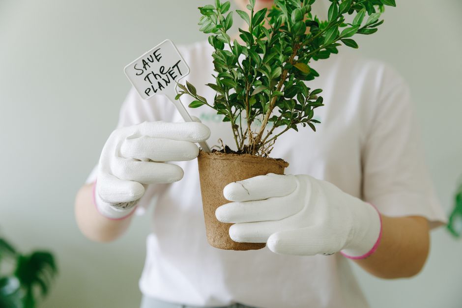 person measuring carbon footprint
