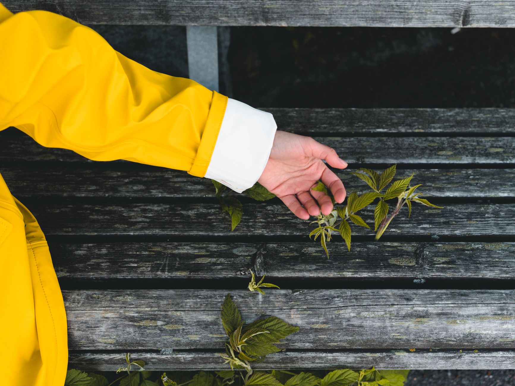 Personal Growth