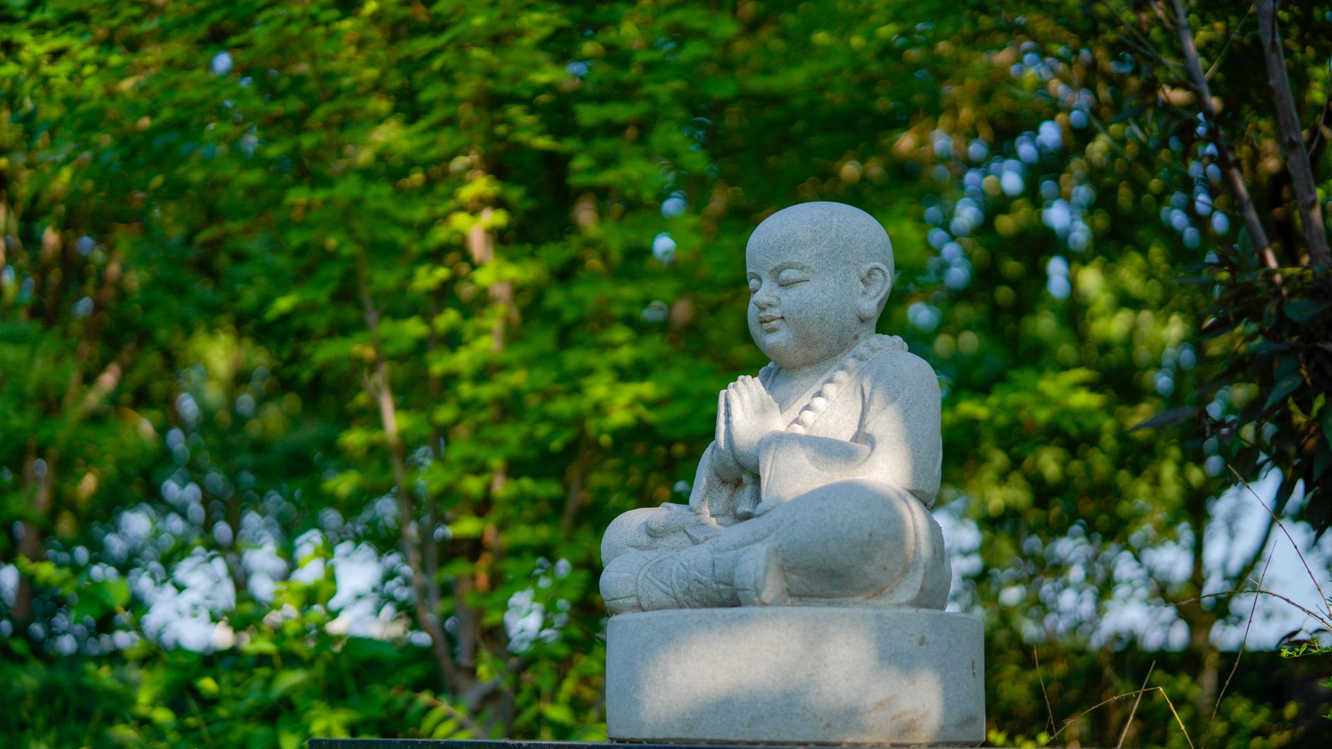 Philosophy of Happiness
