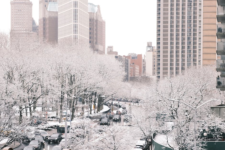 New York with snow