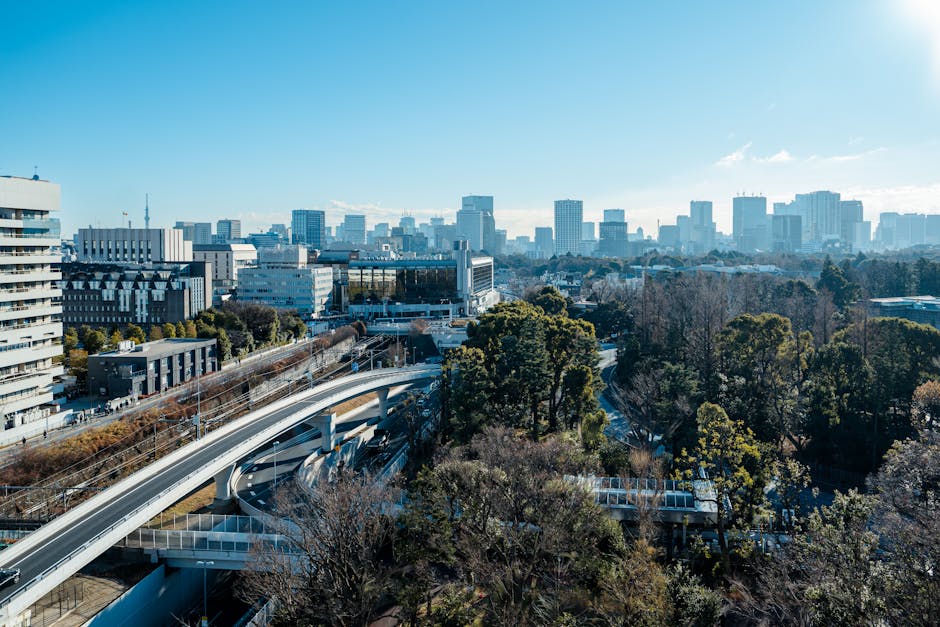 Tokyo with sunny weather