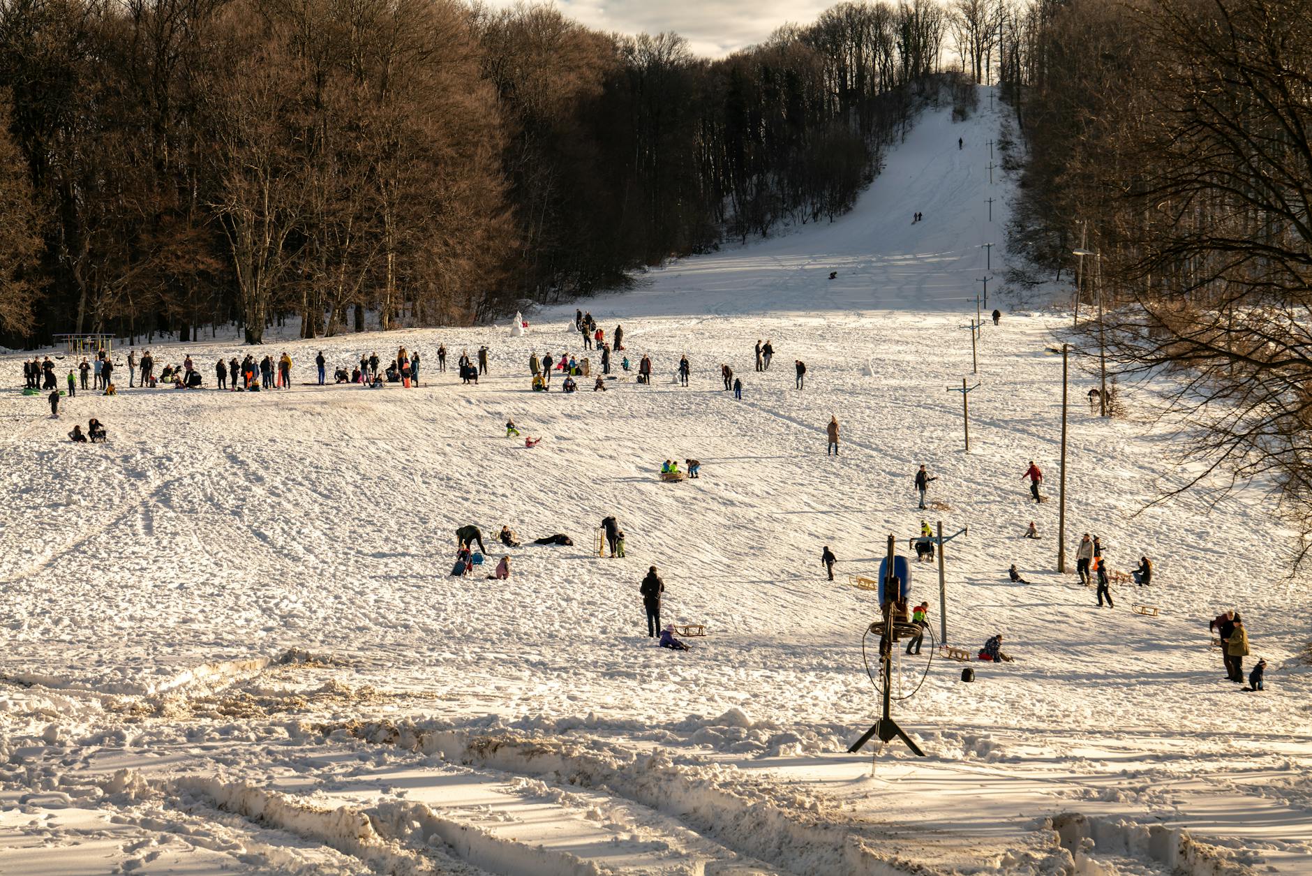 Quelle est votre saison préférée ?