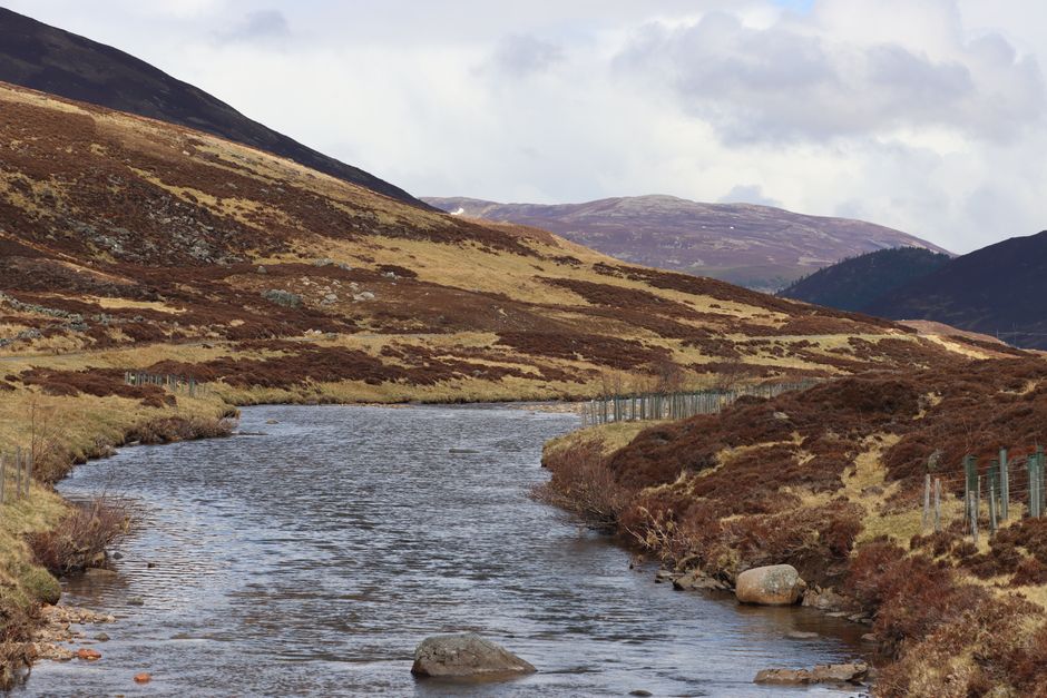 A conversation about scottish highlands.
