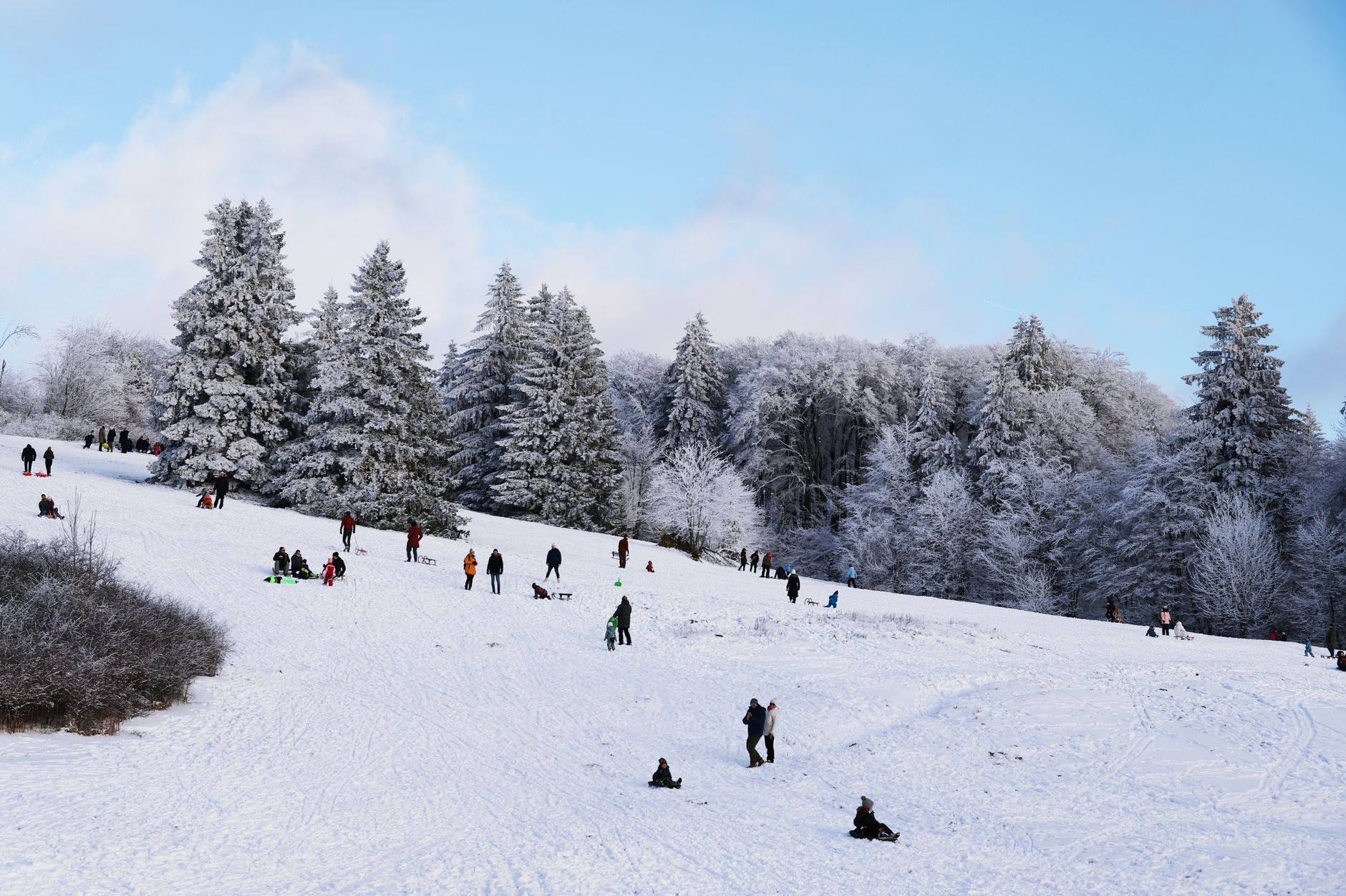 Seasons and Activities