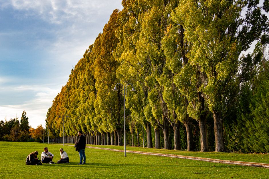 A conversation about seasons and activities.