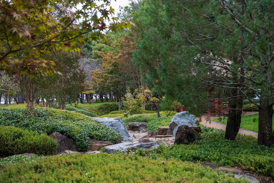 natural landscapes