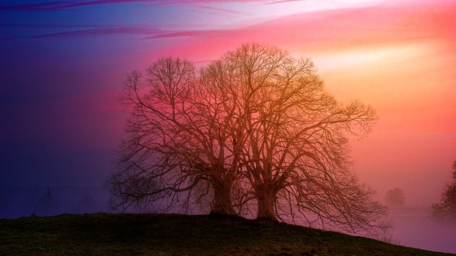 mystical landscape