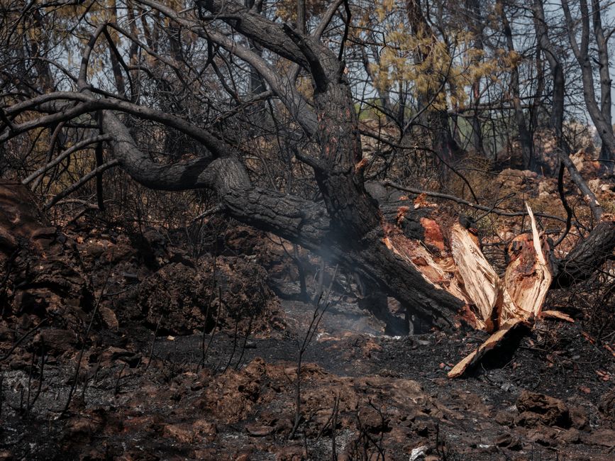 Catastrophes naturelles