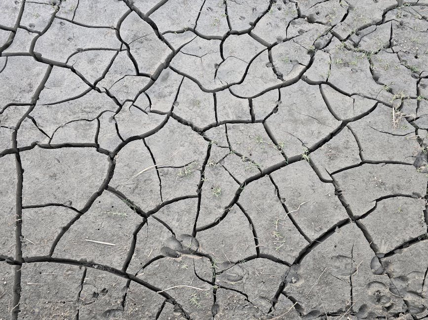 changement climatique