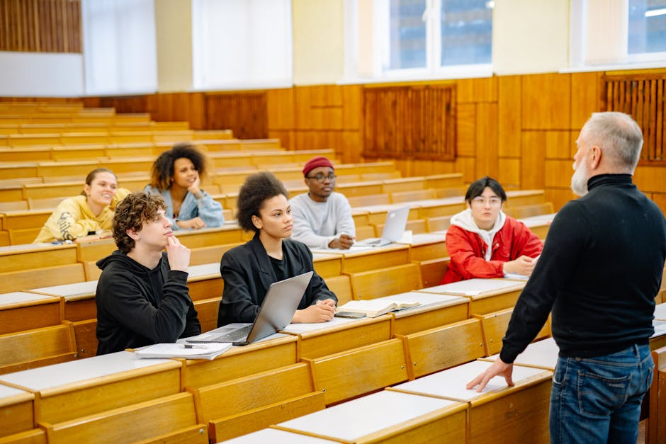 Enseignement supérieur
