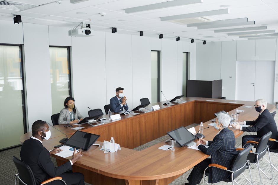 expérience professionnelle