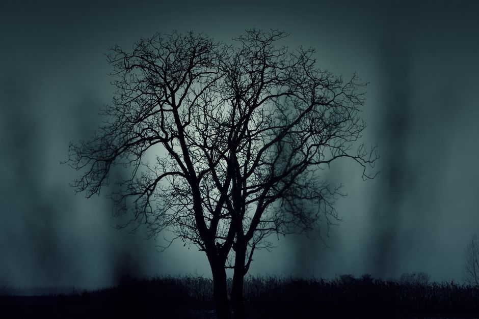 fantasmagorique