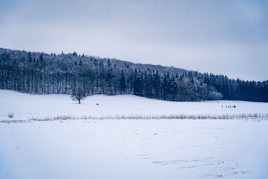 froid