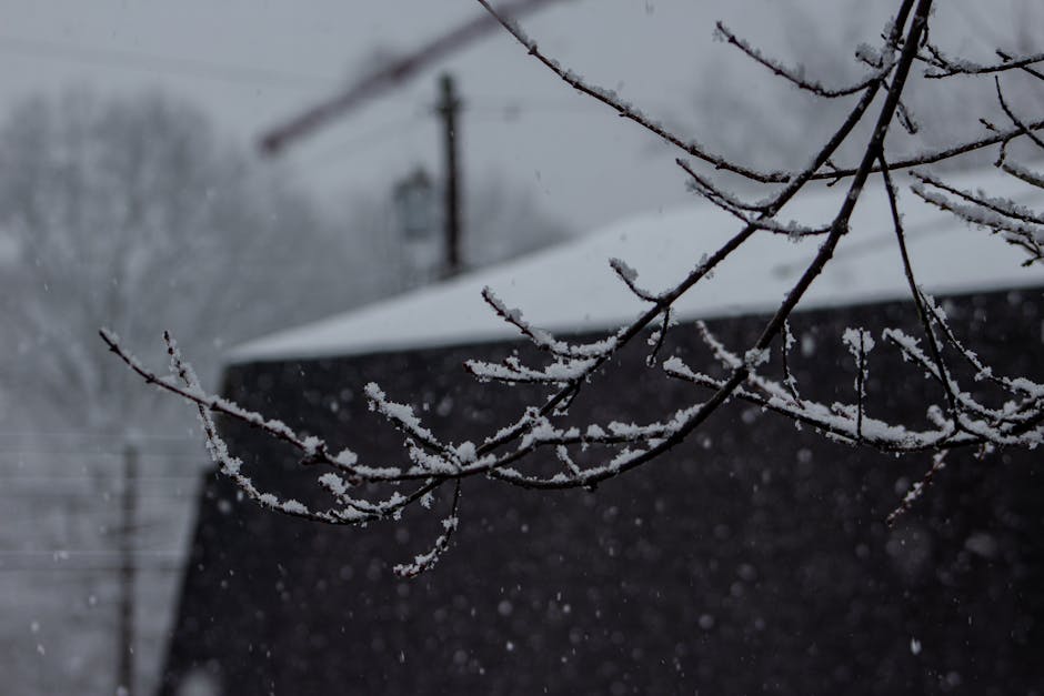 il neige