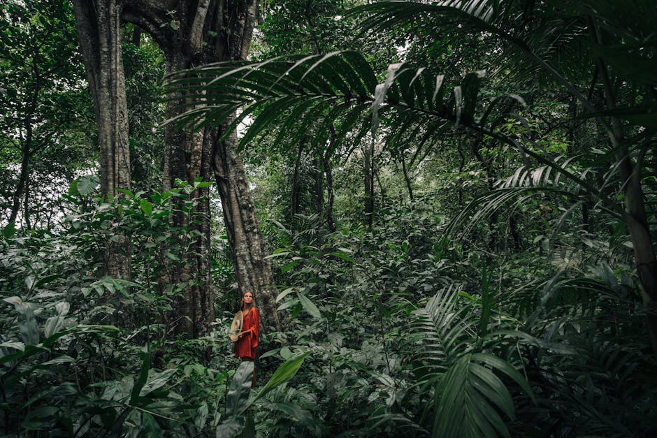 la forêt tropicale