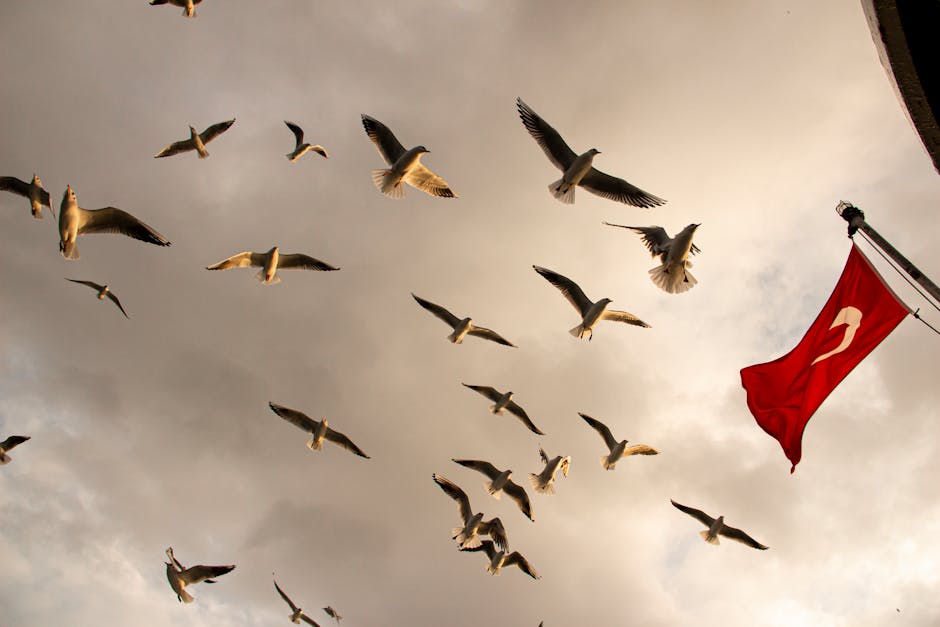 la liberté