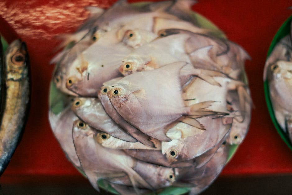 le poisson