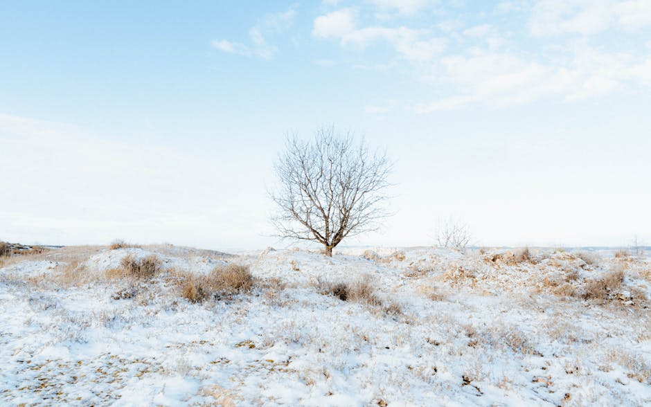 Neige