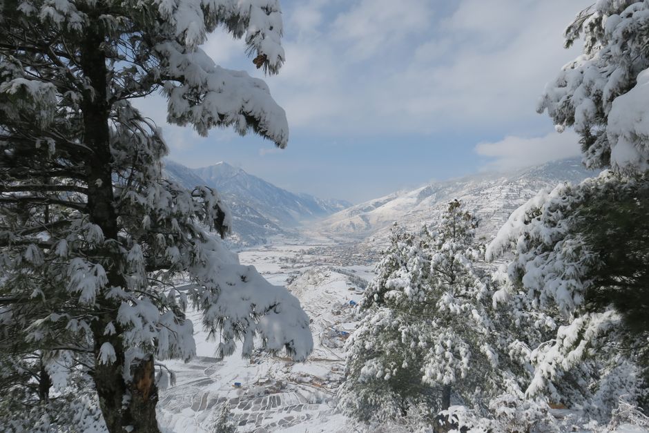 neigeux