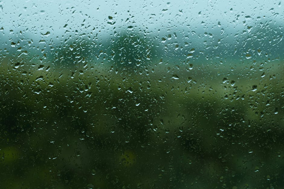 Pluie