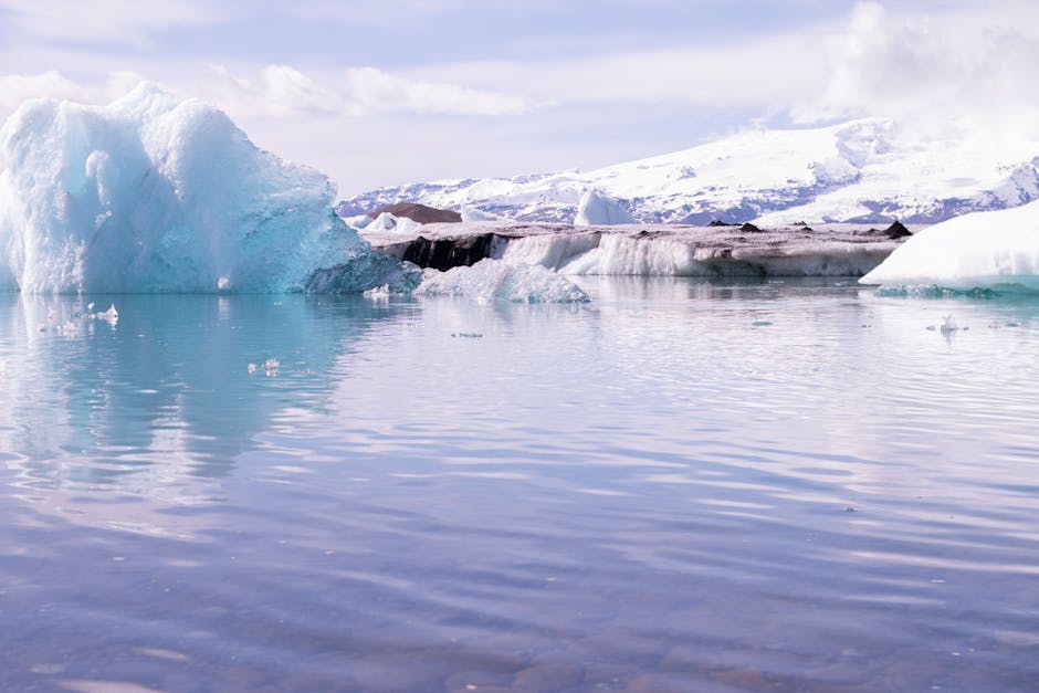 réchauffement climatique