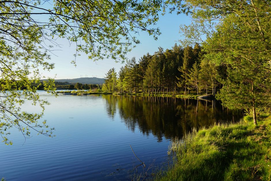 Ressources naturelles