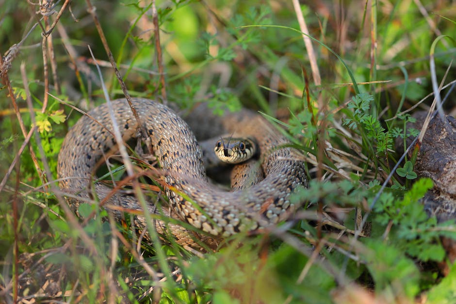 serpent