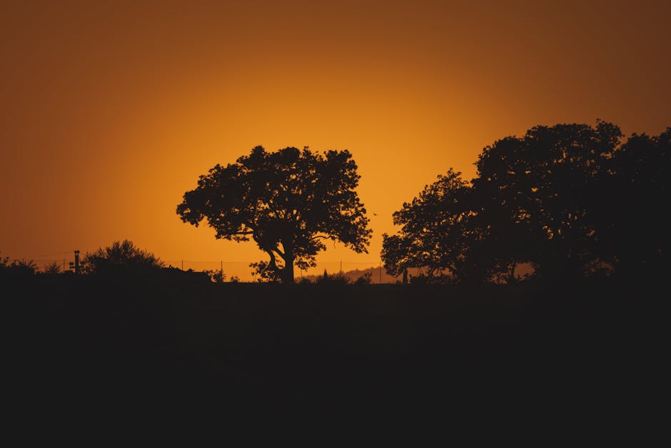 soir