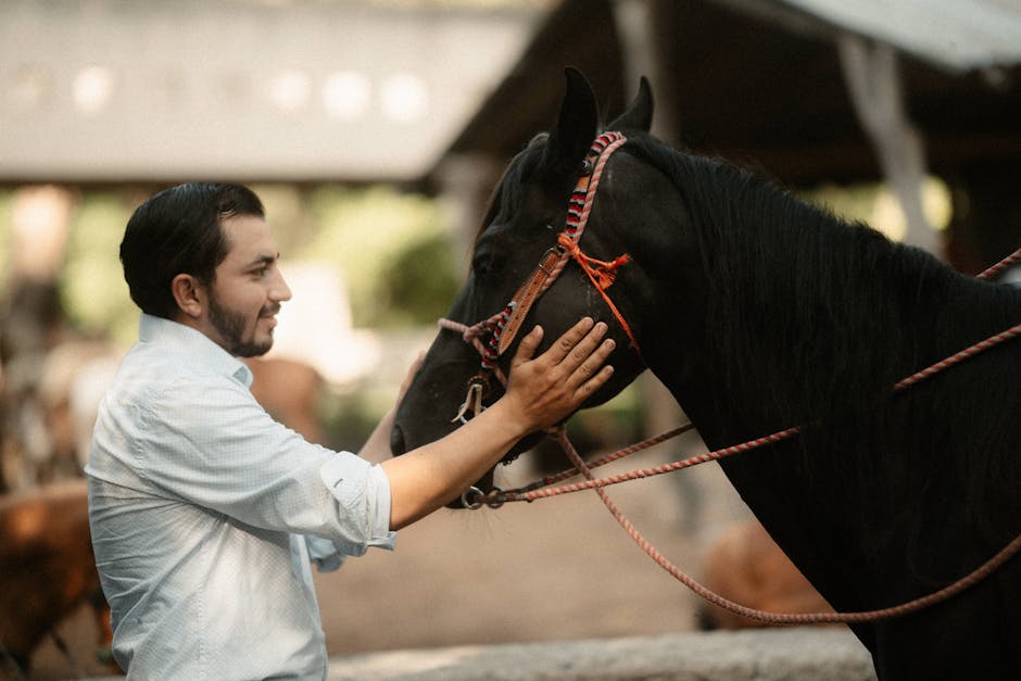 stable