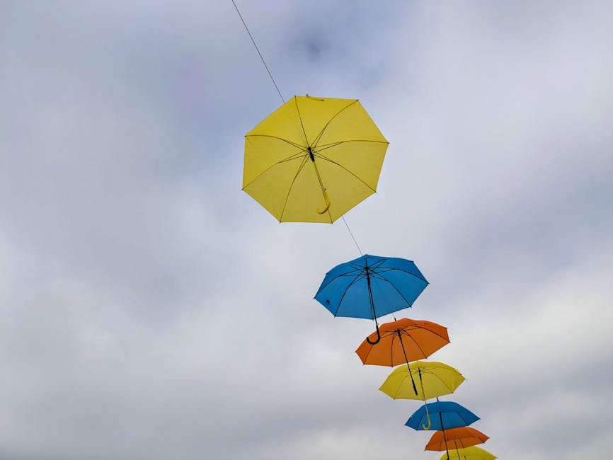 Umbrella