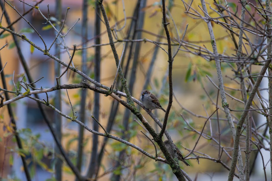 un oiseau